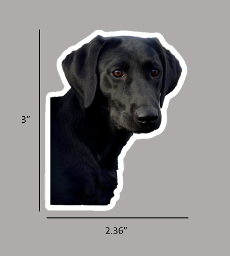 Black Lab "Apa Dog" Sticker